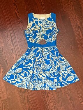 ASOS Petite Blue and Cream Paisley Fit-and-Flare Dress